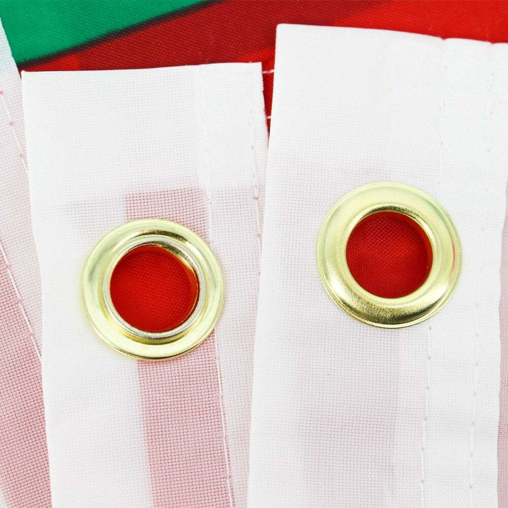 Bandeira da California 90 cm x 150 cm